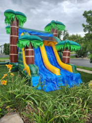 combo2 1702876540 Combo - Cali Palms Dual Lane Wet/Dry