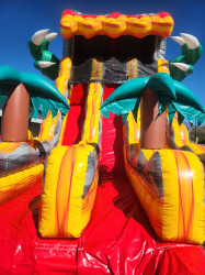 20251008 132527 1760208338 Slide - 20FT T-Rex